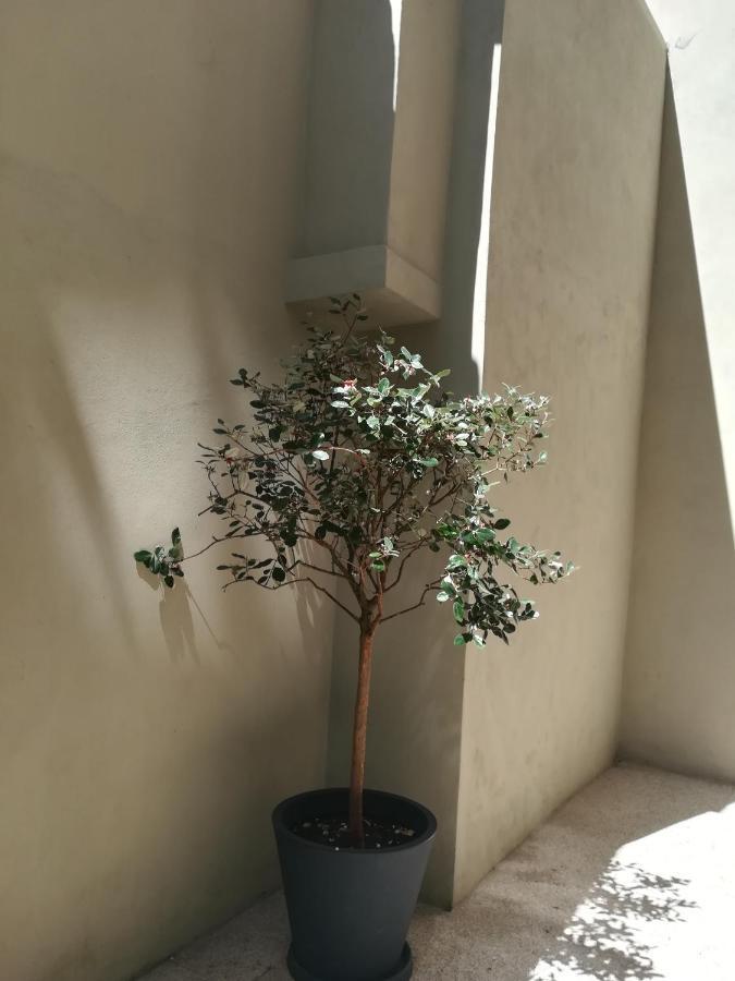 Amaoporto - Se Apartment Ngoại thất bức ảnh